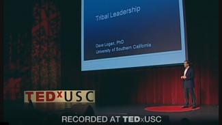 CultureSync and Tribal Leadership: An Introduction